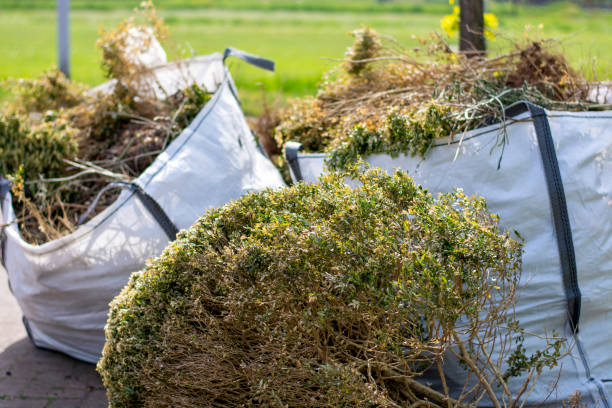 Best Dumpster Rental Services  in Southgate, MI